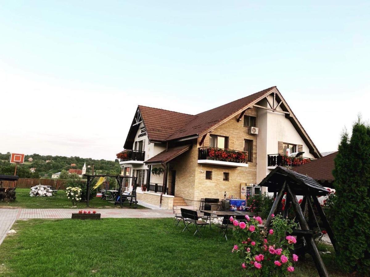 Oaza Apusenilor Villa Calarasi  Buitenkant foto